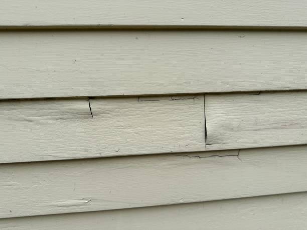 Best Construction Debris Removal  in Yacolt, WA